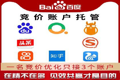 成功案例解析：SEM竞价员策略